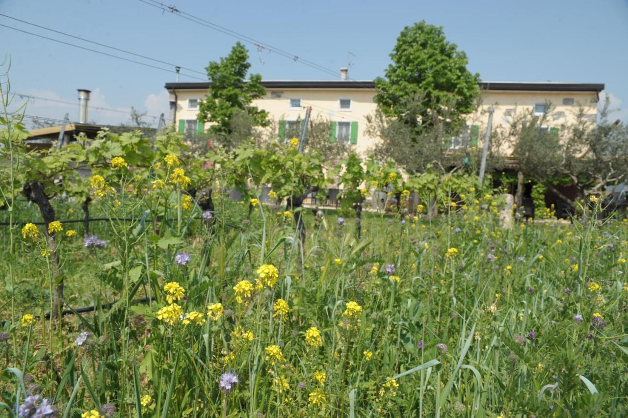 Agriturismo Sol De Montalto Villa Rivoli Veronese Екстериор снимка